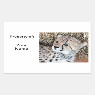 Cute Cheetah Cub Photo Name Label /