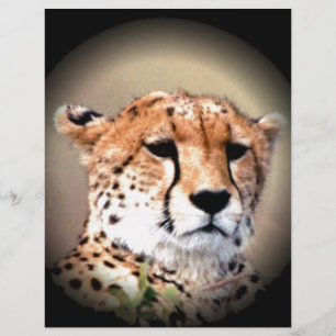 Cute Cheetah Tear Marks Hakunamatata