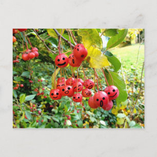 Cute Cherries Postcard