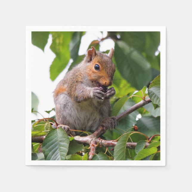 Cute Cherry Picking Eastern Grey Squirrel Napkin (Front)