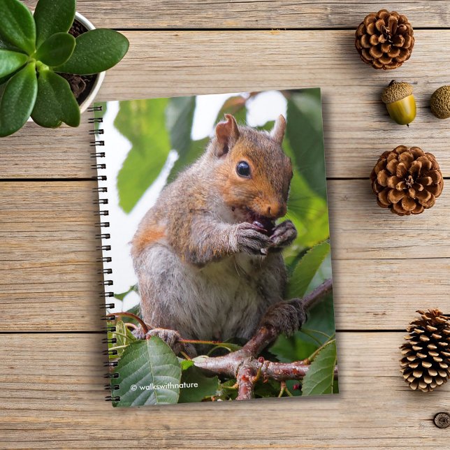 Cute Cherry Picking Eastern Grey Squirrel Notebook (Cherry Picking Eastern Grey Squirrel Journal Cover Photo)