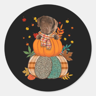 Cute Chesapeake Bay Retriever Pumpkinthanksgiving Classic Round Sticker