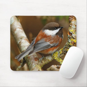 Cute Chestnut-Backed Chickadee on Pear Tree Mouse Mat
