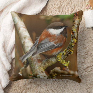 Cute Chestnut-Backed Chickadee on the Pear Tree Cushion