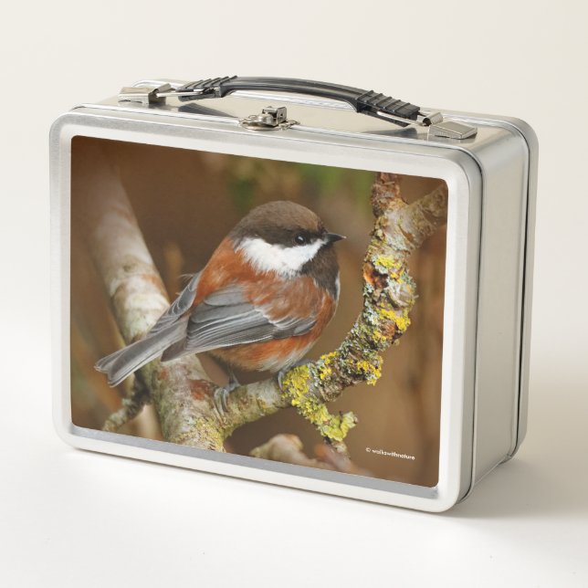 Cute Chestnut-Backed Chickadee Songbird Metal Lunch Box (Front)