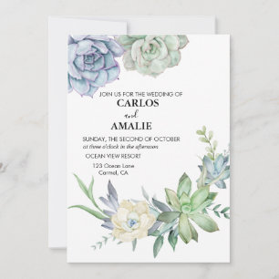 Cute Chic Succulents Blue Green Invitation