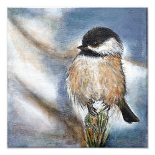 Cute Chickadee Bird Adorable Black Capped Photo Print