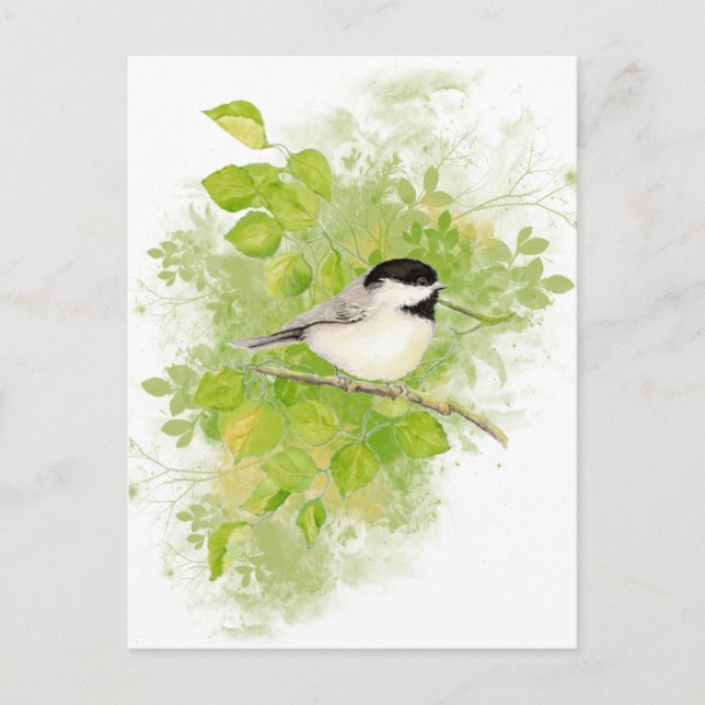 Cute Chickadee Bird in Poplar Tree Postcard (Front)