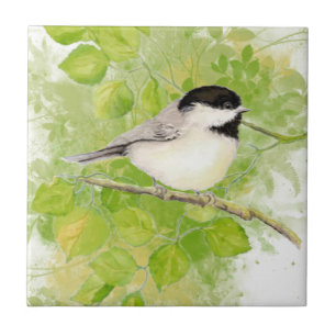 Cute Chickadee Bird in Poplar Tree Tile