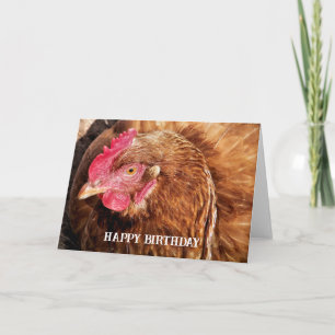 CUTE CHICKEN   CARD