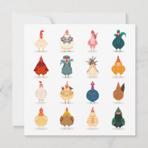 Cute Chicken Card