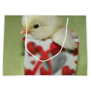 cute chicken chick sits in gift box with red heart large gift bag