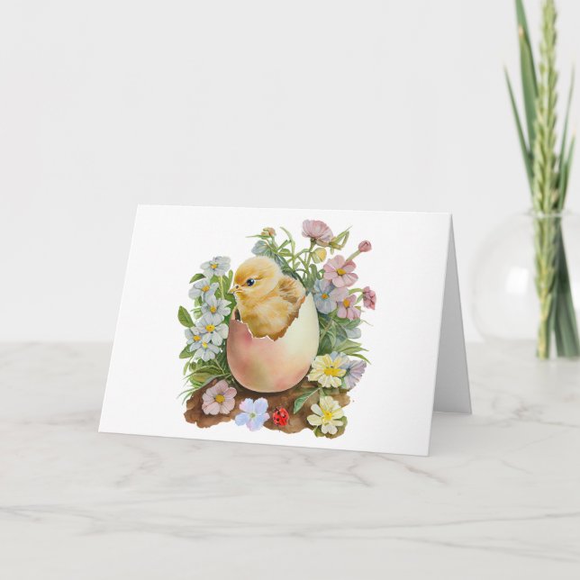 Cute Chicken in the Eggshell & Watercolor Flowers Card (Front)