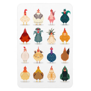Cute Chicken Magnet