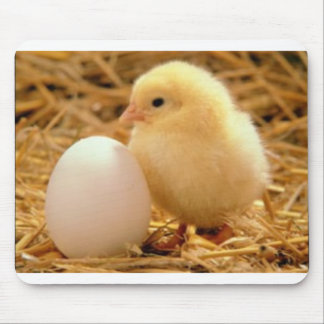 Cute chicken mouse pad
