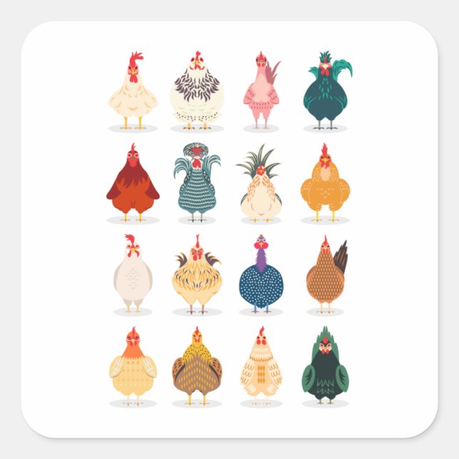 Cute Chicken Square Sticker (Front)