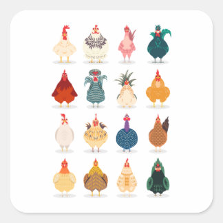 Cute Chicken Square Sticker