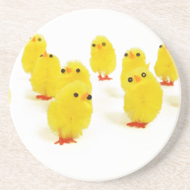 cute chicks coaster (Front)