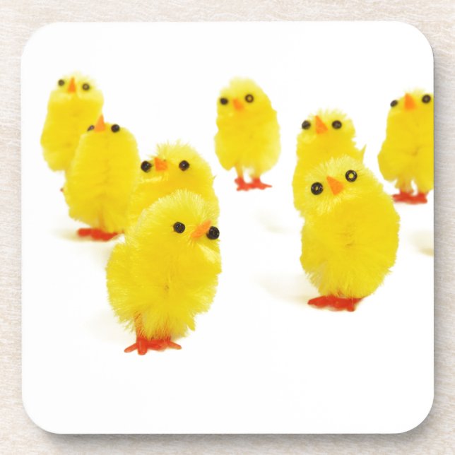 cute chicks coaster (Front)