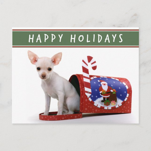 Cute Chihuahua Christmas Postcard (Front)