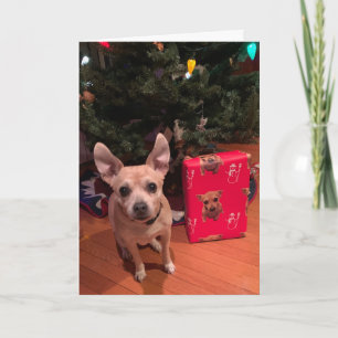 Cute Chihuahua Dog Christmas Folded Holiday Card