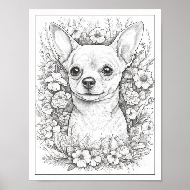 Cute Chihuahua Dog Colouring Poster (Front)