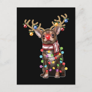 Cute Chihuahua Dog Funny Christmas Holiday Gifts Postcard