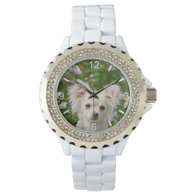 Cute Chihuahua Dog Puppy Photo - women dial-plate Watch (Front)
