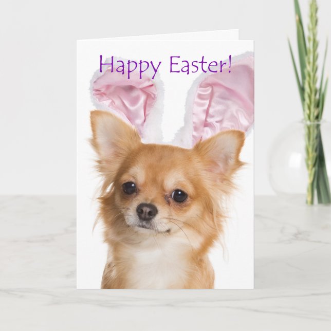 Cute Chihuahua Easter Card (Front)