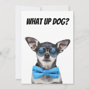 Cute chihuahua greeting card