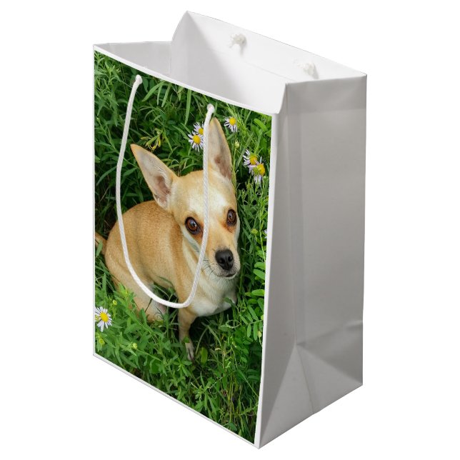 Cute Chihuahua in Grass Meadow Medium Gift Bag (Front Angled)