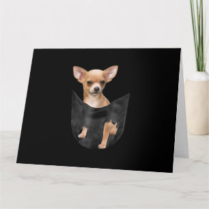Cute Chihuahua In Your Pocket Christmas Card