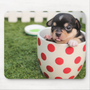 Cute Chihuahua Mouse Pad Add Photo