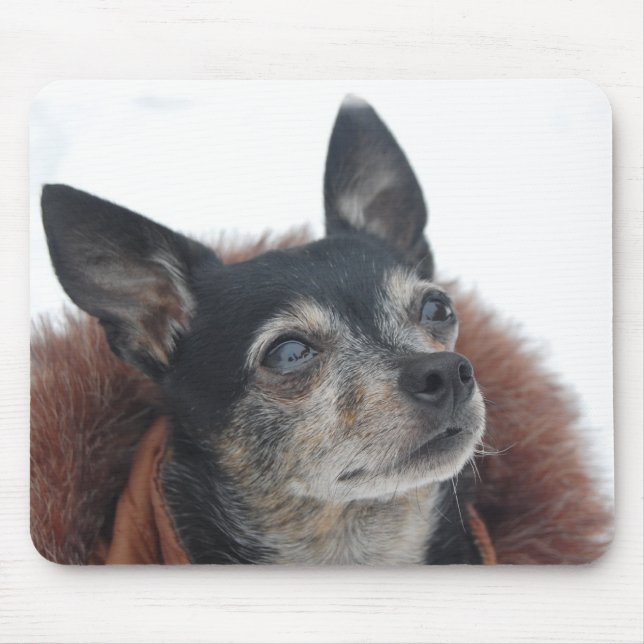 Cute Chihuahua Photos Mouse Pad (Front)