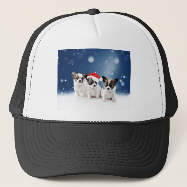 Cute Chihuahua Puppies with Santa Hat Christmas (Front)