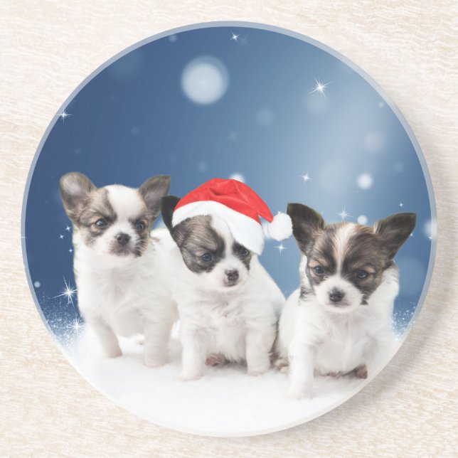 Cute Chihuahua Puppies with Santa Hat Christmas Coaster (Front)