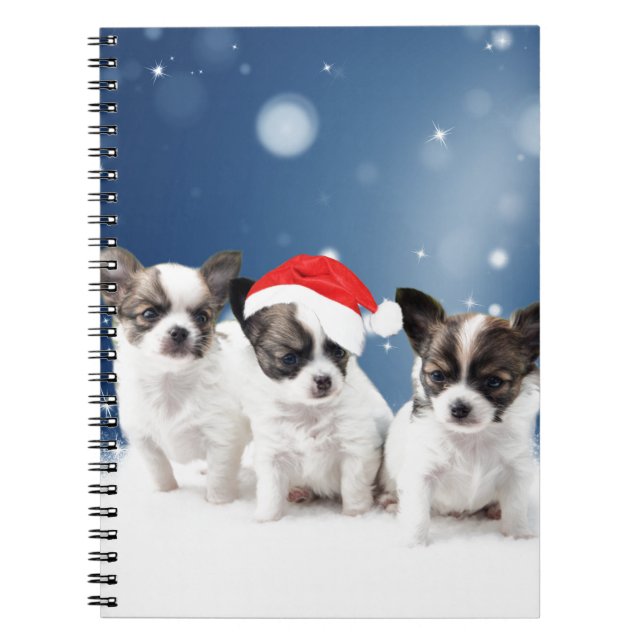 Cute Chihuahua Puppies with Santa Hat Christmas Notebook (Front)