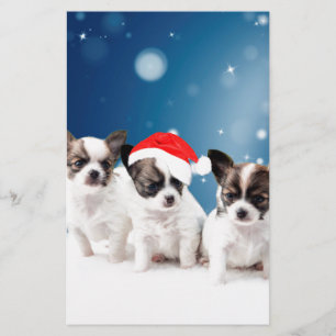 Cute Chihuahua Puppies with Santa Hat Christmas Stationery