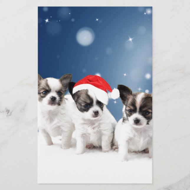 Cute Chihuahua Puppies with Santa Hat Christmas Stationery (Front)