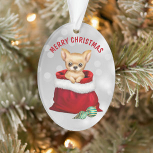 Cute Chihuahua Puppy Dog Gift Surprise Ornament