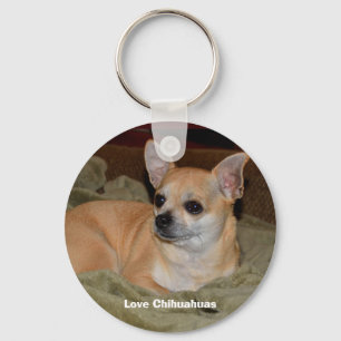 Cute Chihuahua Resting Key Ring