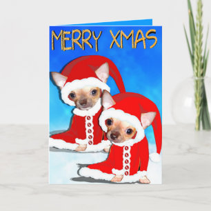 cute chihuahua santa holiday card