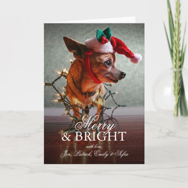 Cute Chihuahua With A Santa Hat Holiday Card (Front)