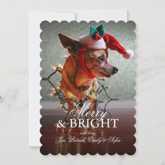 Cute Chihuahua With A Santa Hat Holiday Card (Front)