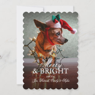 Cute Chihuahua With A Santa Hat Holiday Card