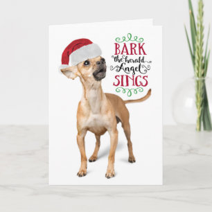 Cute Chihuahua with Santa Hat Holiday Card