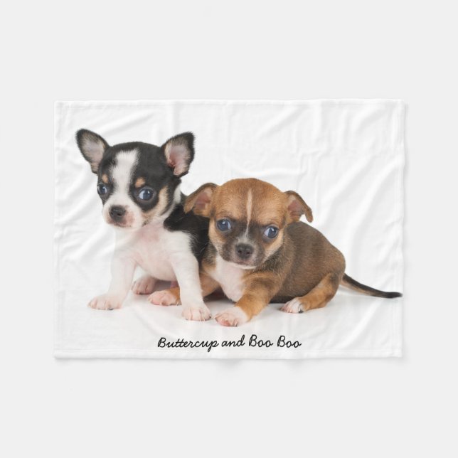 Cute Chihuahuas Photo Fleece Blanket (Front (Horizontal))