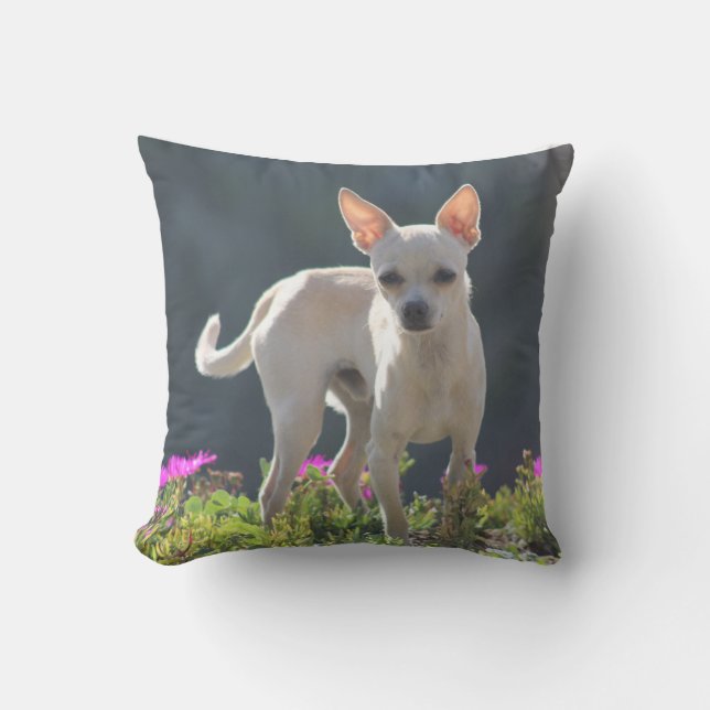 Cute Chihuahuha in flower bed Cushion (Front)