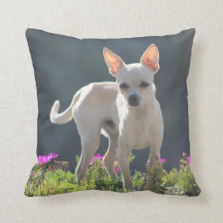 Cute Chihuahuha in flower bed Cushion
