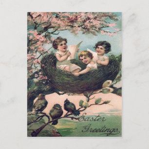 Cute Children Bird Nest Tree Postcard
